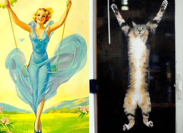 Des chats sui ressemblent  des pin-ups - 7