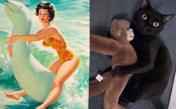 Des chats sui ressemblent  des pin-ups - 8