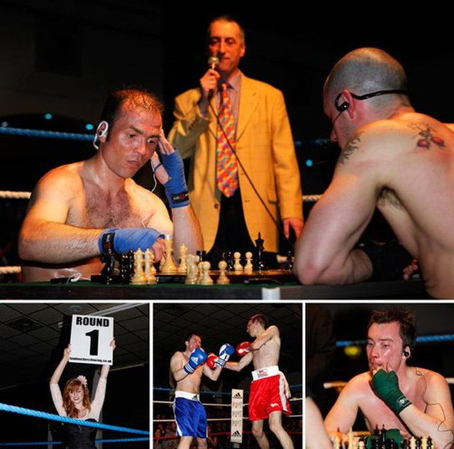 Le Chessboxin, mlange de boxe anglaise et jeu d'checs - 1