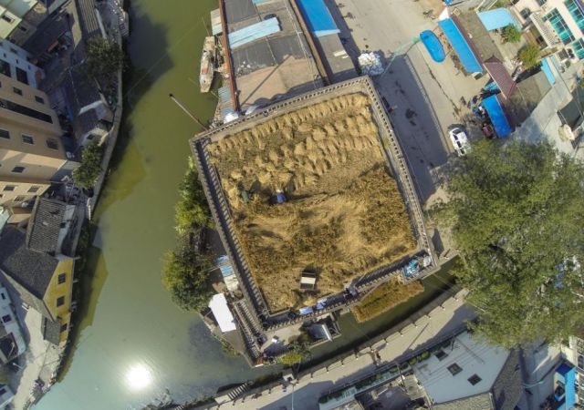 Un agriculteur parvient à cultiver en pleine ville - 1