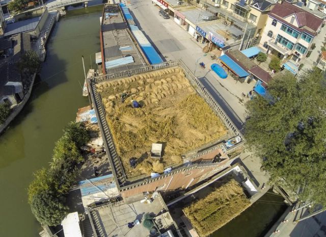 Un agriculteur parvient à cultiver en pleine ville - 2