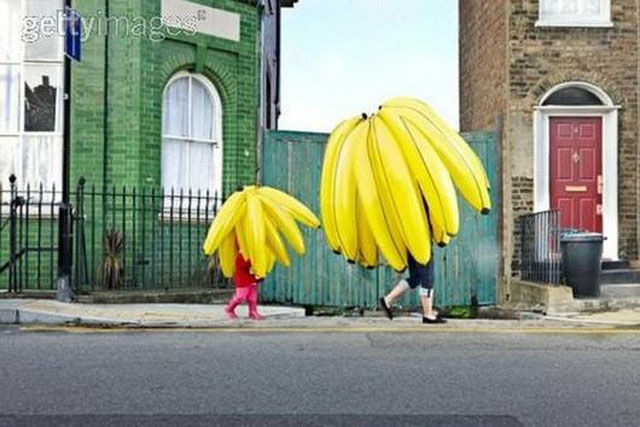 Les pires, les plus tranges et les plus drles photos libre de droit - 1