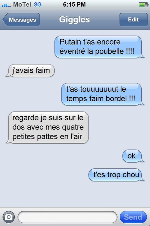 Mon Chat M Envoie Des Sms Les textos de mon chat: Le tumblr qui donne la parole à votre félidé