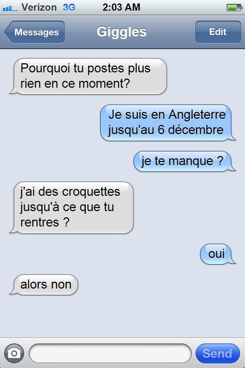 Les sms envoys par un chat - 4