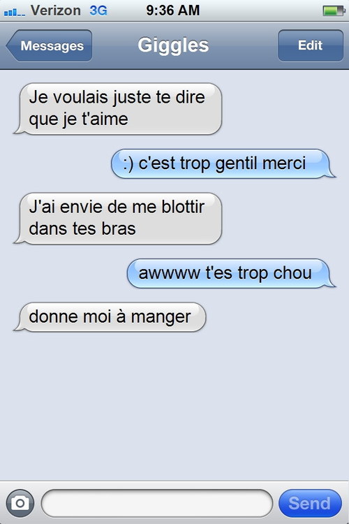 Les sms envoys par un chat - 6